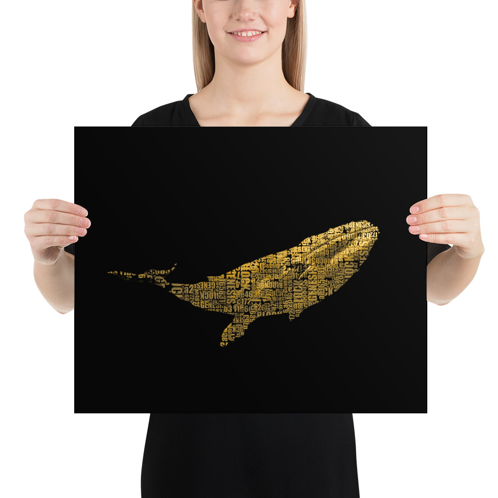 premium-luster-photo-paper-poster-in-16x20-person-64452b7e52809.jpg