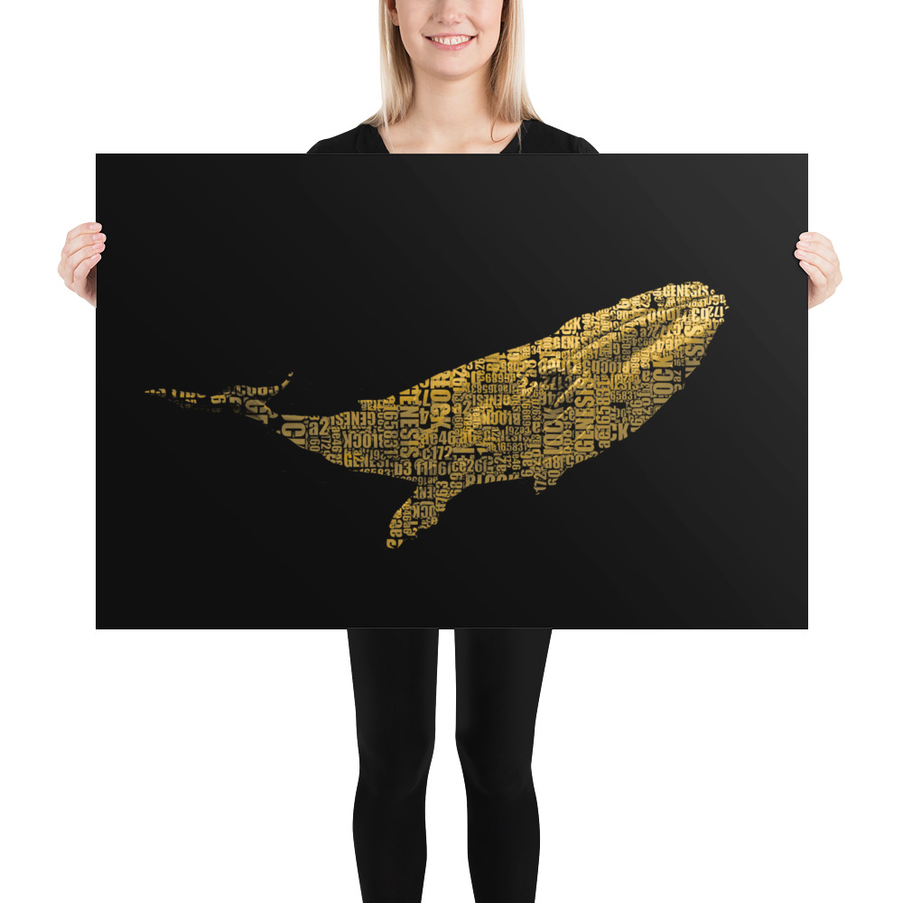 premium-luster-photo-paper-poster-in-24x36-person-64452b7e528dd.jpg
