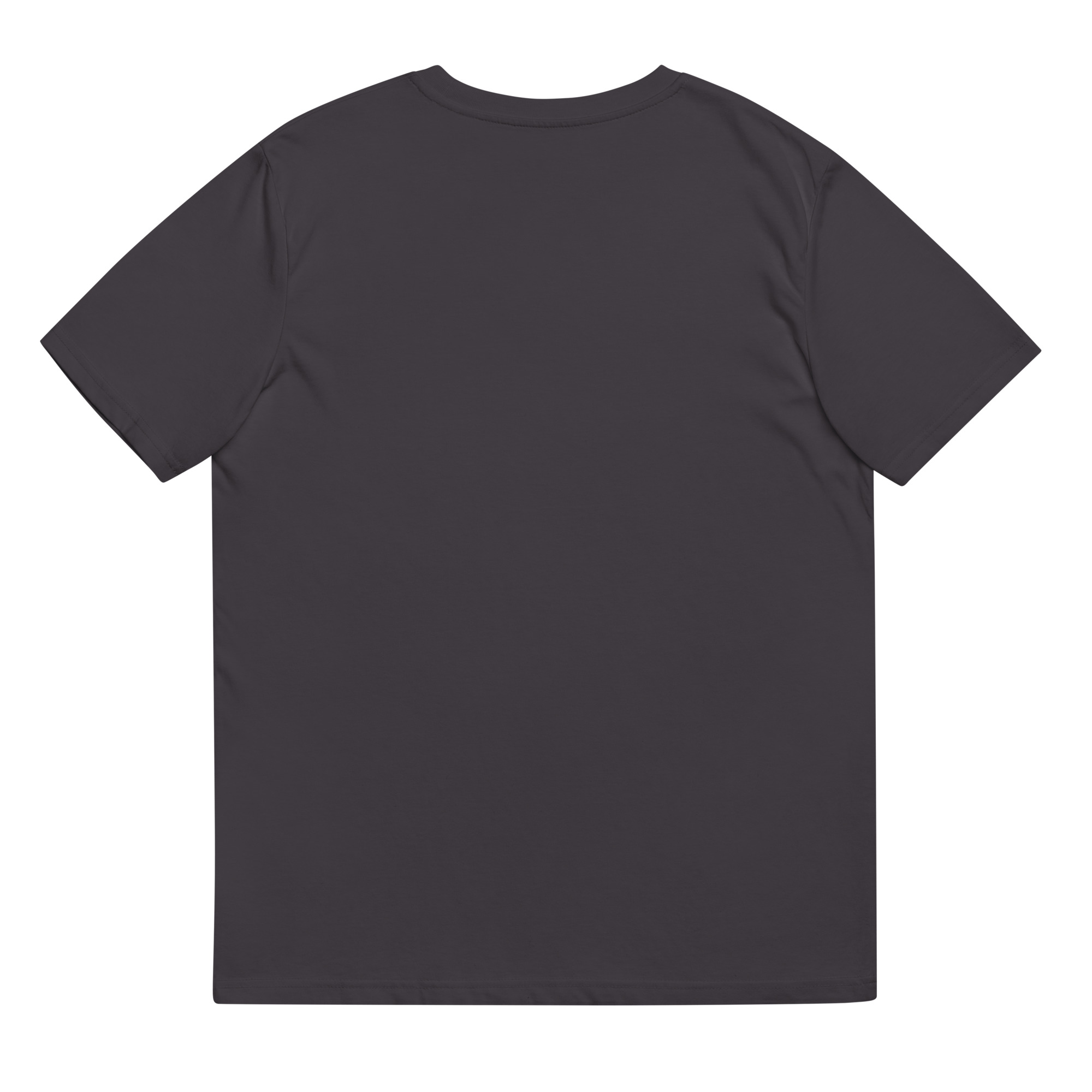 unisex-organic-cotton-t-shirt-anthracite-back-646ddef6128cf.jpg
